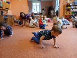 Domácí zvířátka a mláďátka