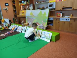 Domácí zvířátka a mláďátka