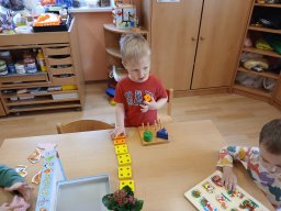 Domácí zvířátka a mláďátka