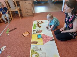 Domácí zvířátka a mláďátka