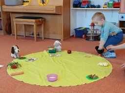 Domácí zvířátka a mláďátka