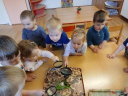 Na paloučku v jetelíčku