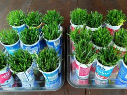 Přípravy na Velikonoce