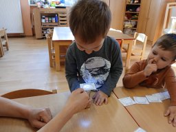 Na zahrádce pod jabloní, motýlek tam včelku honí