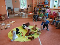 V zoologické zahradě, nehlaďte lva na bradě