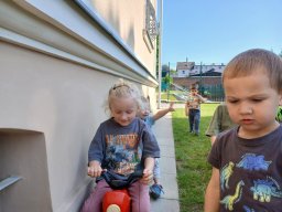 V zoologické zahradě, nehlaďte lva na bradě