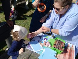 WORKSHOP PRO MAMINKY