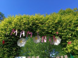 WORKSHOP PRO MAMINKY