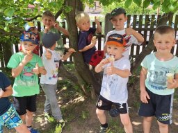 ZVONEČEK - ČERVEN 2