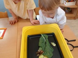 CO SE DĚJE V TRÁVĚ A U RYBNÍKA