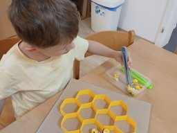 CO SE DĚJE V TRÁVĚ A U RYBNÍKA