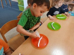 CO SE DĚJE V TRÁVĚ A U RYBNÍKA