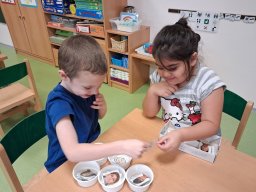 Borůvka - Krása vztahů