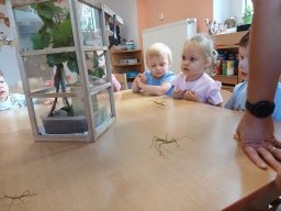 Babí léto v Kopretince