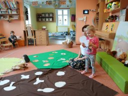 Vítr otrhal stromy do hola