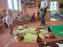 Vítr otrhal stromy do hola