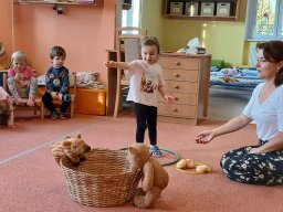 Vítr otrhal stromy do hola