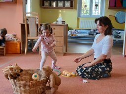 Vítr otrhal stromy do hola