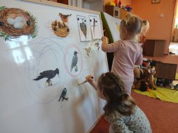 Ptáčci poslové jara