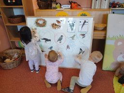 Ptáčci poslové jara