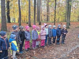 ZVONEČEK - ŘÍJEN2